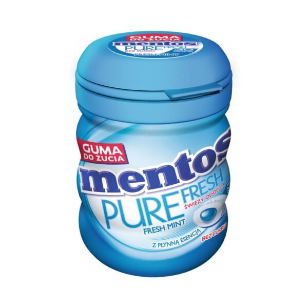 Mentos Pure Fresh Mint Flavour Chewing Gum 60g